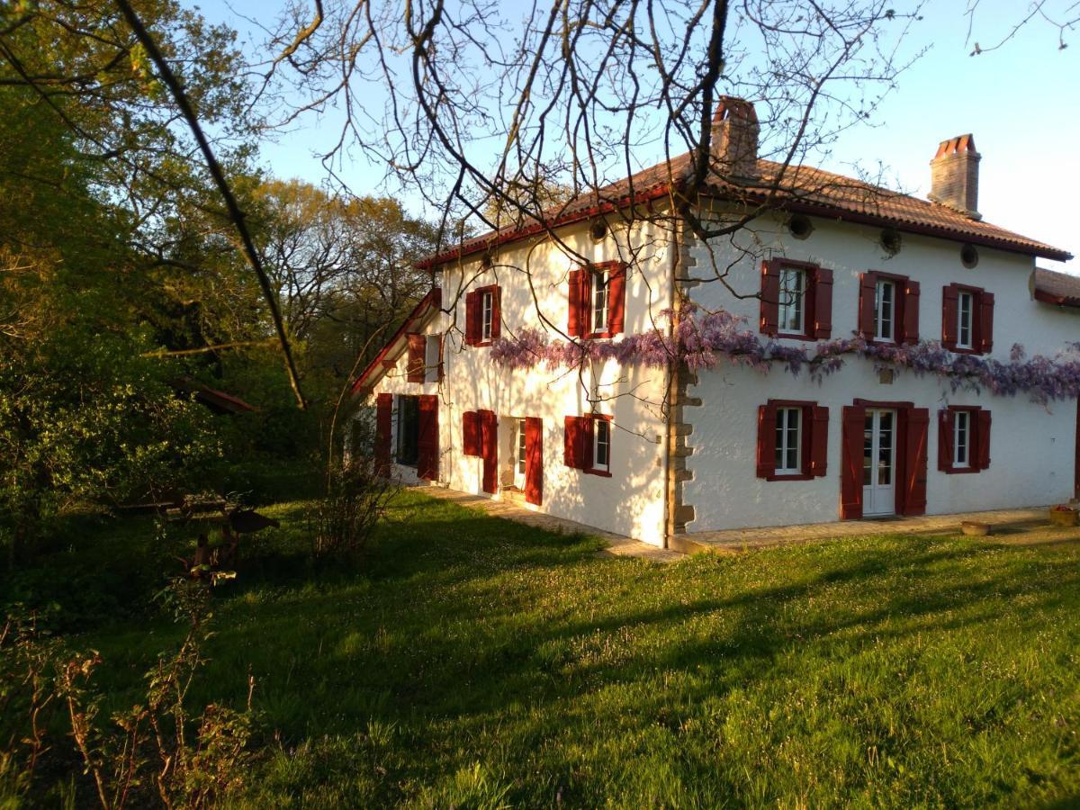 Chambres Maison Labourdasse Saint-Martin-de-Hinx エクステリア 写真